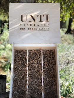 3 Bottle Wood Box